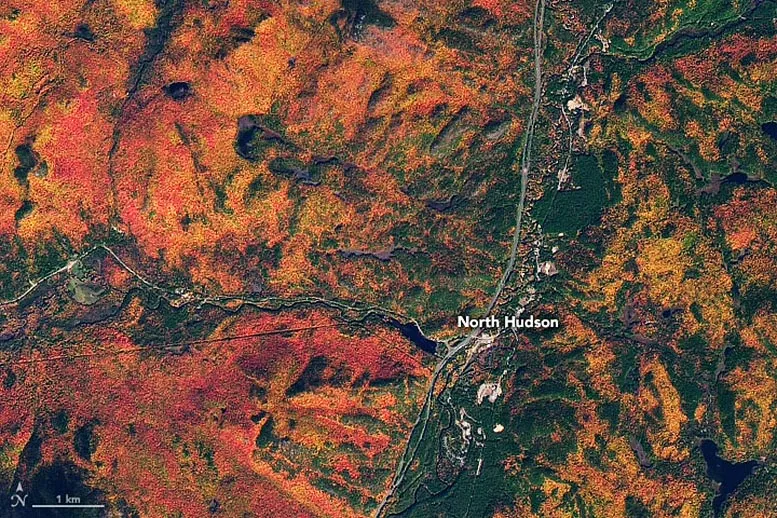 Fall-Colors-North-Hudson.webp