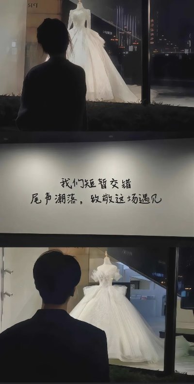 一眼就爱上的壁纸 - 图片 3