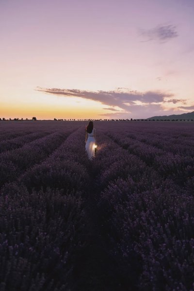 分享一组紫色花海里的绝美照片 - 图片 2