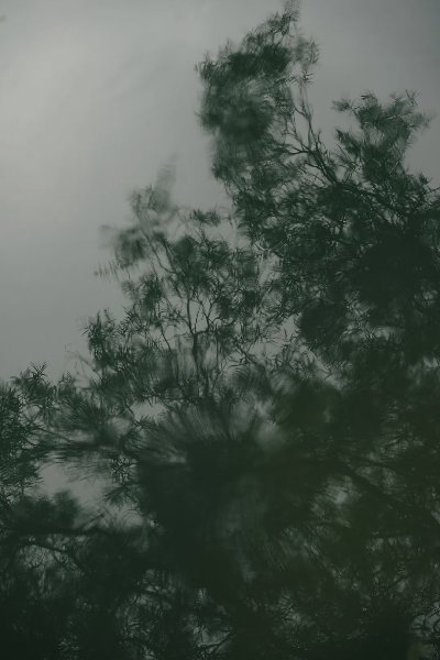 分享摄影作品｜夏色弥深 - 图片 3