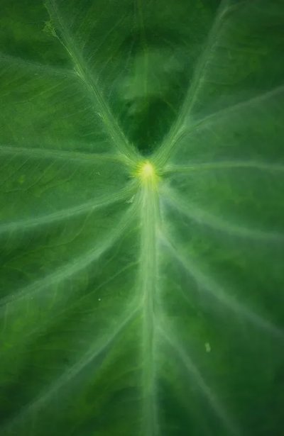 转载分享 | 2023年国际摄影奖：自然类季节组（七） - 图片 5