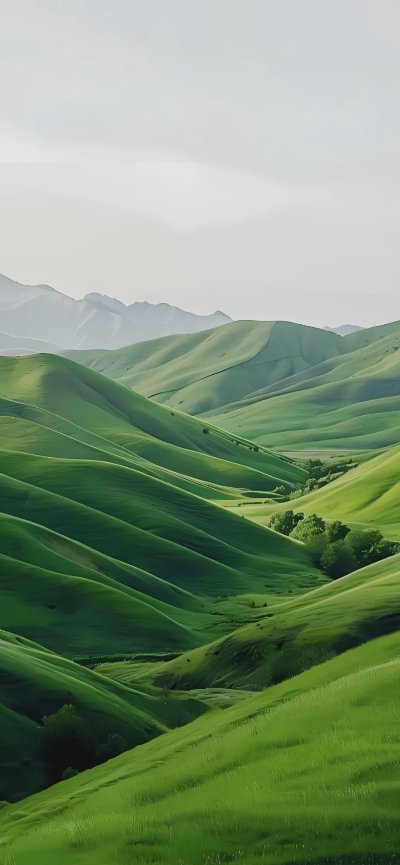 𝗦𝗵𝗮𝗿𝗲丨 4K超清全屏壁纸 - 图片 2