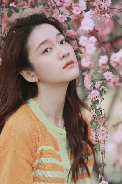 张雪迎写真壁纸 - 图片 5