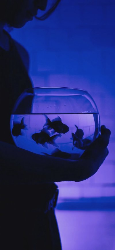 壁纸 | 超好看ins风手机壁纸 - 图片 2