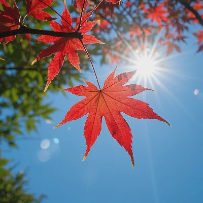 秋天的景色这样拍，一定劲爆朋友圈！！！ - 图片 3