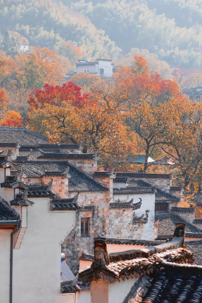 塔川秋画 - 图片 1