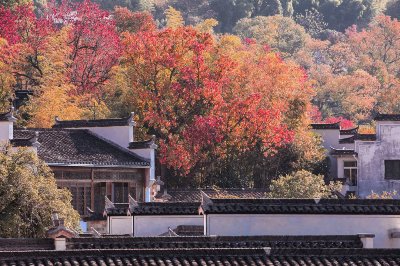塔川秋画 - 图片 2
