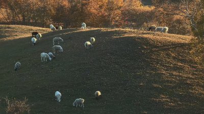 微信公众平台 - 图片 3