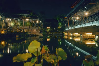 【烟雨乌镇】 - 图片 3