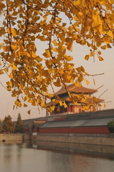 北京之秋便是天堂 - 图片 4