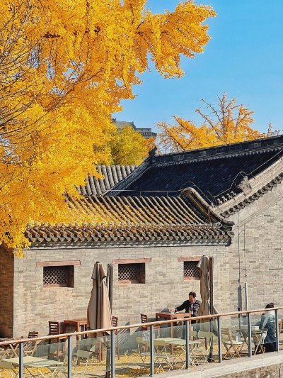 北京的秋天，不看白蜡真的太可惜了 - 图片 5