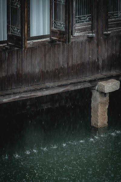 【烟雨乌镇】 - 图片 4