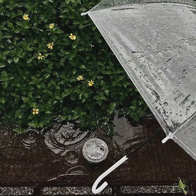 𝐒𝐡𝐚𝐫𝐞｜杂七杂八朋友圈54张 - 图片 4