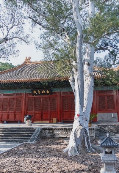 明代壁画天花板！北京法海寺，一眼惊艳600年 - 图片 4