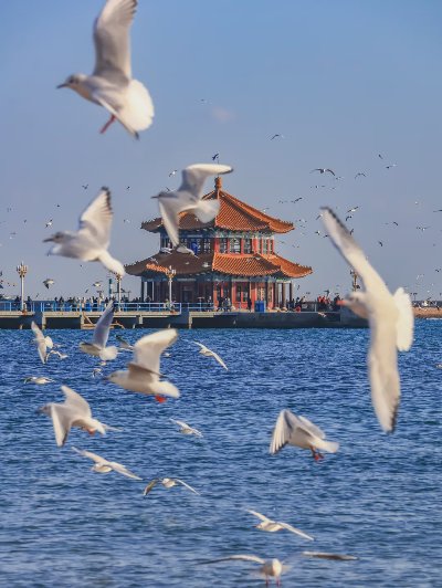 在这座海滨城市citywalk，是最浪漫的事！ - 图片 4