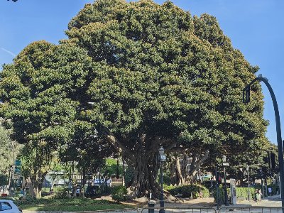 废话篇：西班牙 - 图片 3