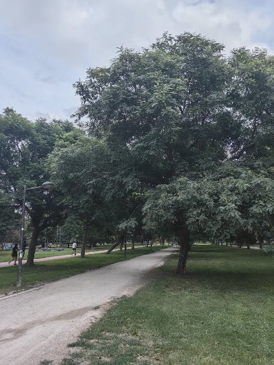 废话篇：西班牙 - 图片 1