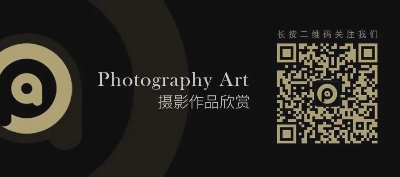 有趣的街拍 需要敏锐的观察力和抓拍能力 - 图片 2