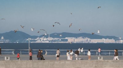 一起看海的人会比较难忘吧 - 图片 1