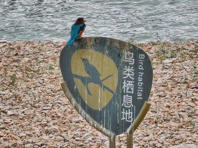 万象城-2期，一股出国感！ - 图片 2