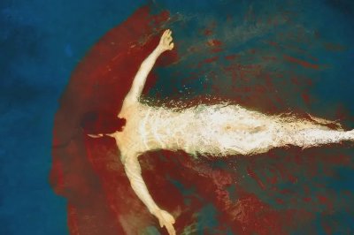 摄影师Erik Madigan Heck || The Garden - 图片 5