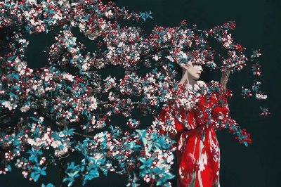 摄影师Erik Madigan Heck || The Garden - 图片 4