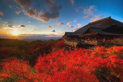 京都赏枫攻略：这5个地方，藏着日本最地道的秋色 - 图片 1