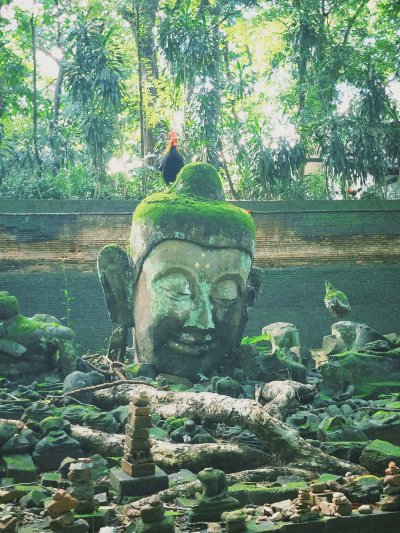 清迈最喜欢的寺庙，藏在素贴山里 - 图片 1