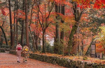 京都赏枫攻略：这5个地方，藏着日本最地道的秋色 - 图片 4