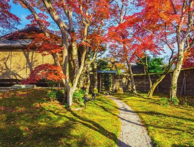 京都赏枫攻略：这5个地方，藏着日本最地道的秋色 - 图片 3