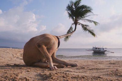 2025年LensCulture街头摄影奖的获奖者 - 图片 1