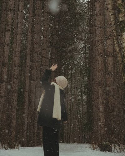 冬日花园｜Memories And Reveries - 图片 1