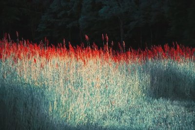 幻境｜埃里克·马迪根·赫克 - 图片 5