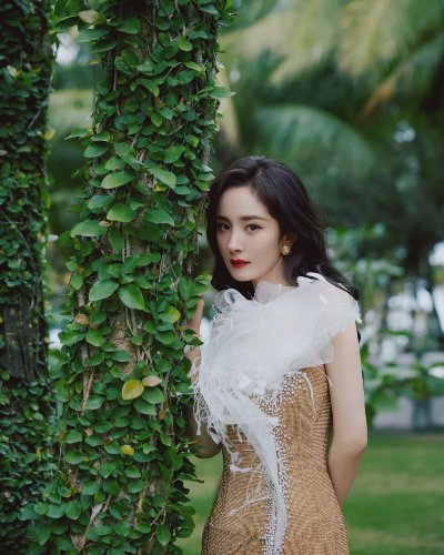 杨幂写真壁纸 - 图片 2
