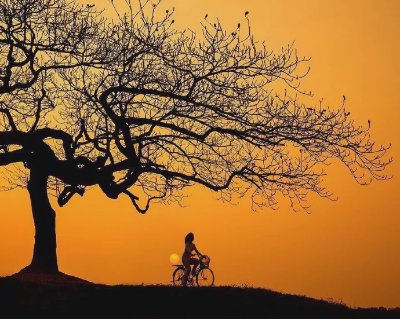 这位摄影师的色彩运用别具一格！ - 图片 5