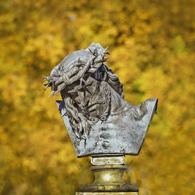 【秋冥·2025】· Wiener Zentralfriedhof ~ 01 - 图片 1