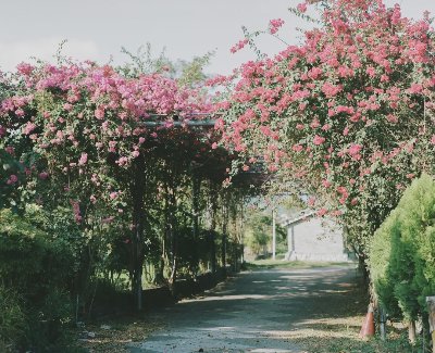 审美积累｜滨田英明「中国台湾旅拍」 - 图片 5
