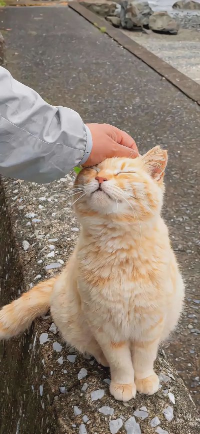 高质量精选手机壁纸 | 直接保存 - 图片 5