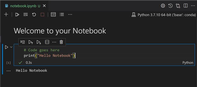 打开 notebook 的 VS Code